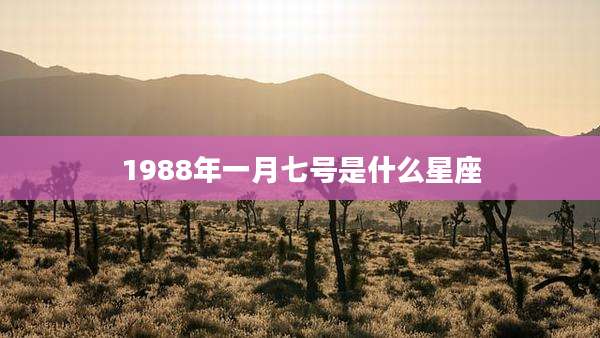 1988年一月七号是什么星座