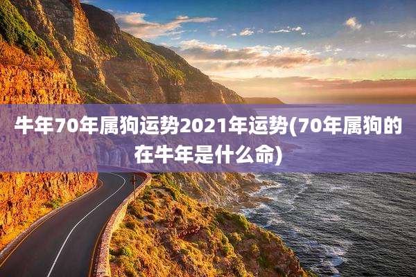 牛年70年属狗运势2021年运势(70年属狗的在牛年是什么命)