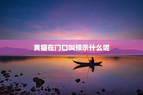 黄猫在门口叫预示什么呢