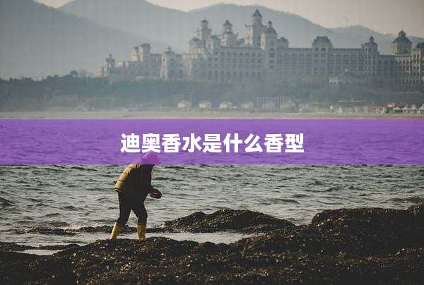 迪奥香水是什么香型