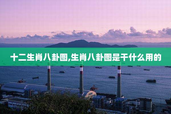 十二生肖八卦图,生肖八卦图是干什么用的
