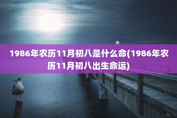 1986年农历11月初八是什么命(1986年农历11月初八出生命运)