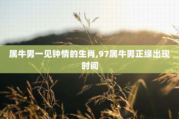 属牛男一见钟情的生肖,97属牛男正缘出现时间