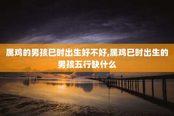 属鸡的男孩巳时出生好不好,属鸡巳时出生的男孩五行缺什么