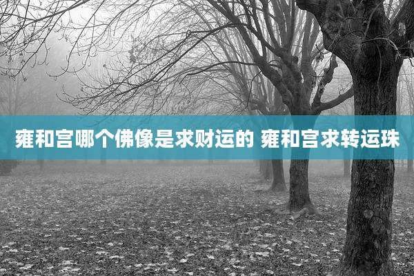 雍和宫哪个佛像是求财运的 雍和宫求转运珠
