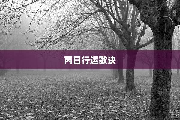 丙日行运歌诀