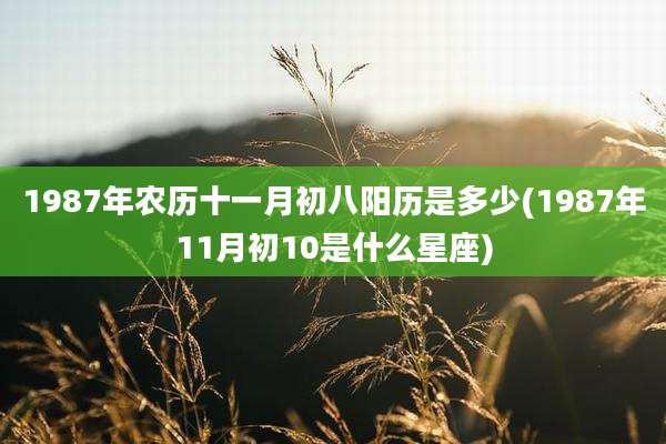 1987年农历十一月初八阳历是多少(1987年11月初10是什么星座)