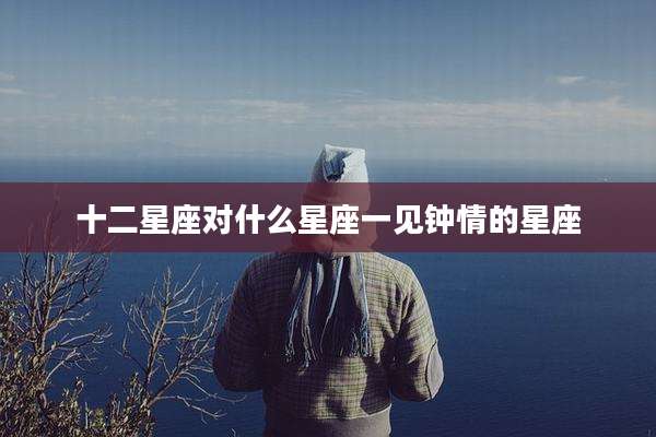 十二星座对什么星座一见钟情的星座