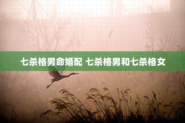 七杀格男命婚配 七杀格男和七杀格女