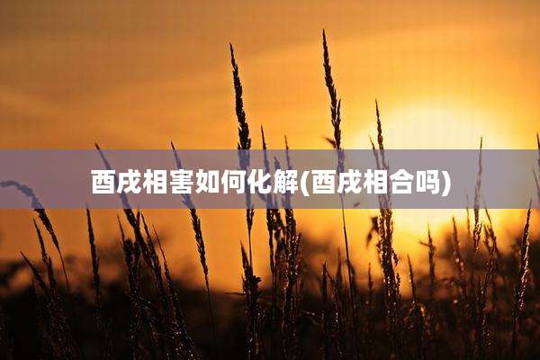 酉戌相害如何化解(酉戌相合吗)