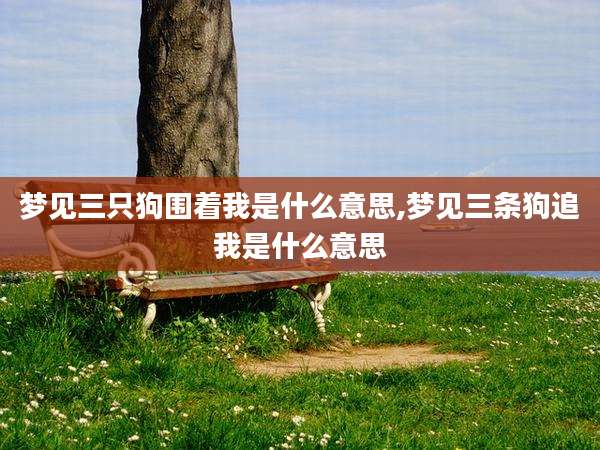 梦见三只狗围着我是什么意思,梦见三条狗追我是什么意思