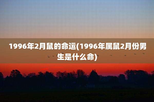 1996年2月鼠的命运(1996年属鼠2月份男生是什么命)