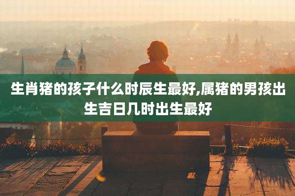 生肖猪的孩子什么时辰生最好,属猪的男孩出生吉日几时出生最好