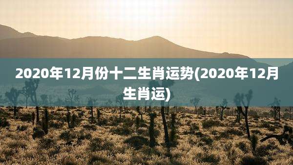 2020年12月份十二生肖运势(2020年12月生肖运)