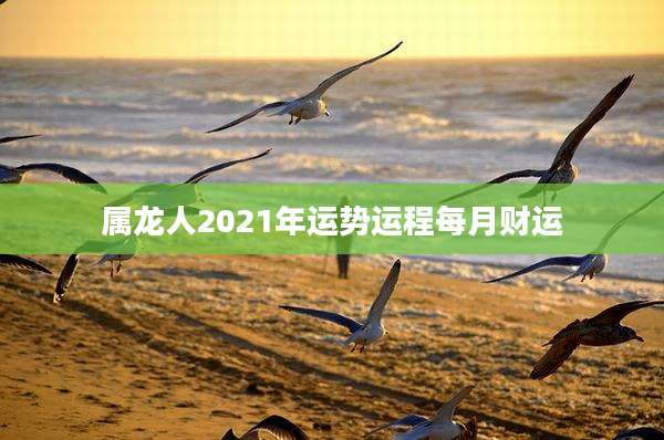 属龙人2021年运势运程每月财运
