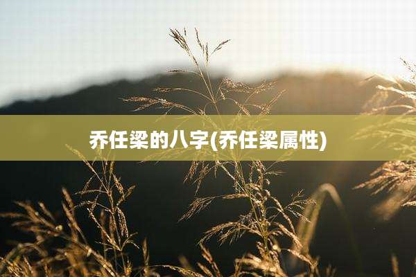 乔任梁的八字(乔任梁属性)