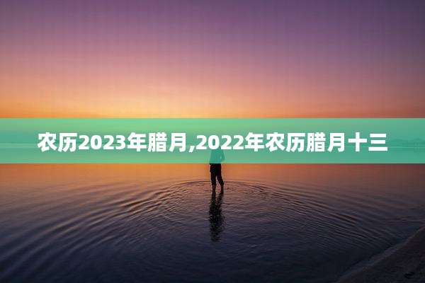 农历2023年腊月,2022年农历腊月十三