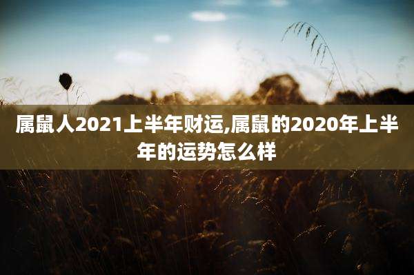 属鼠人2021上半年财运,属鼠的2020年上半年的运势怎么样