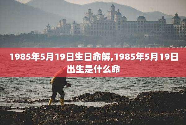 1985年5月19日生日命解,1985年5月19日出生是什么命