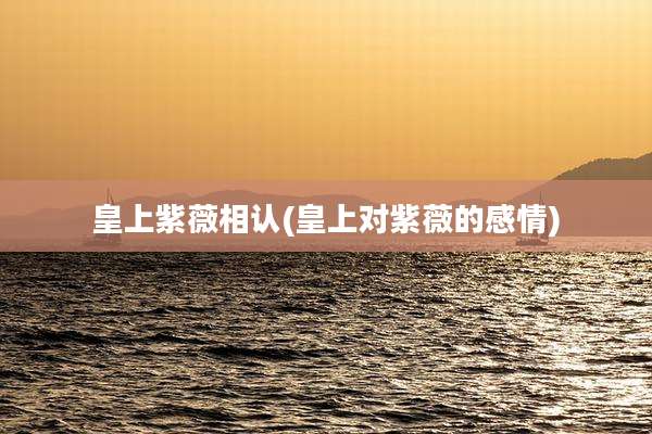 皇上紫薇相认(皇上对紫薇的感情)