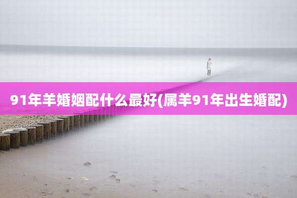 91年羊婚姻配什么最好(属羊91年出生婚配)