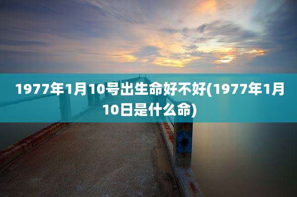 1977年1月10号出生命好不好(1977年1月10日是什么命)