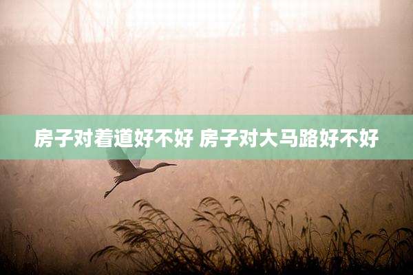 房子对着道好不好 房子对大马路好不好