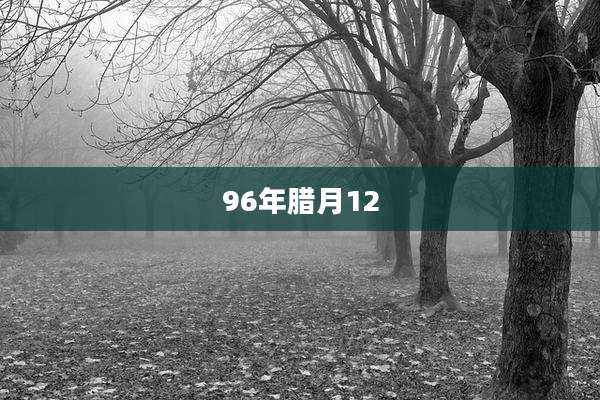 96年腊月12