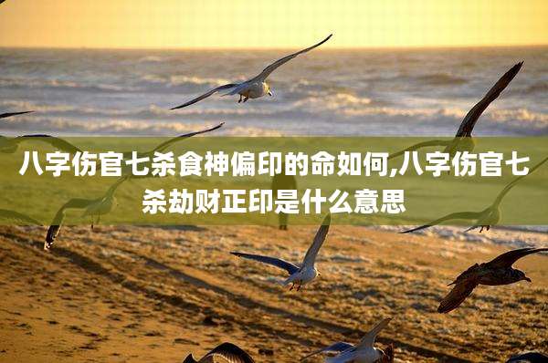 八字伤官七杀食神偏印的命如何,八字伤官七杀劫财正印是什么意思