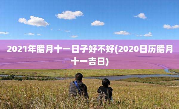 2021年腊月十一日子好不好(2020日历腊月十一吉日)