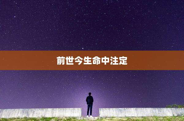前世今生命中注定