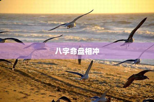 八字命盘相冲