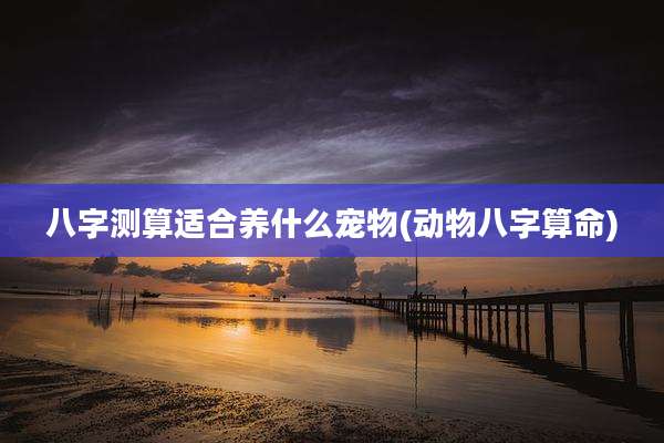 八字测算适合养什么宠物(动物八字算命)