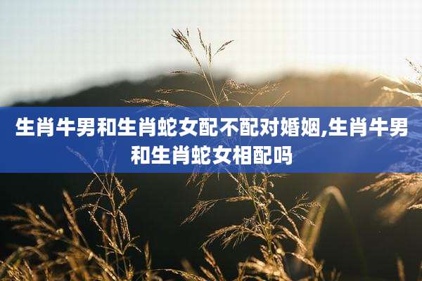 生肖牛男和生肖蛇女配不配对婚姻,生肖牛男和生肖蛇女相配吗