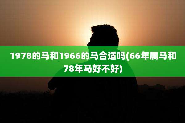1978的马和1966的马合适吗(66年属马和78年马好不好)