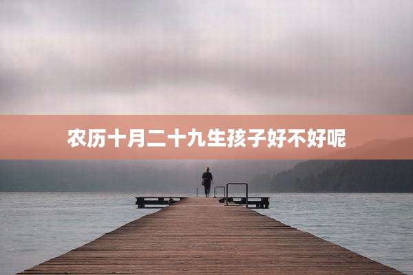 农历十月二十九生孩子好不好呢