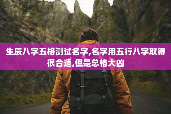 生辰八字五格测试名字,名字用五行八字取得很合适,但是总格大凶