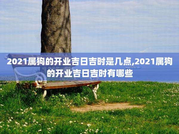 2021属狗的开业吉日吉时是几点,2021属狗的开业吉日吉时有哪些