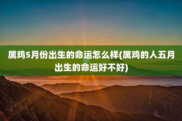 属鸡5月份出生的命运怎么样(属鸡的人五月出生的命运好不好)