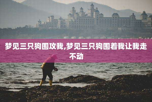 梦见三只狗围攻我,梦见三只狗围着我让我走不动
