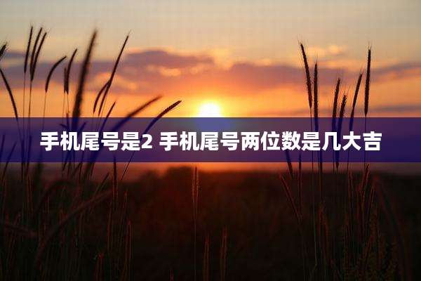 手机尾号是2 手机尾号两位数是几大吉