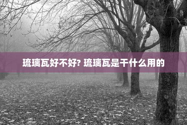 琉璃瓦好不好? 琉璃瓦是干什么用的
