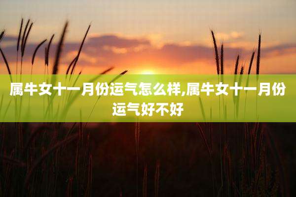 属牛女十一月份运气怎么样,属牛女十一月份运气好不好