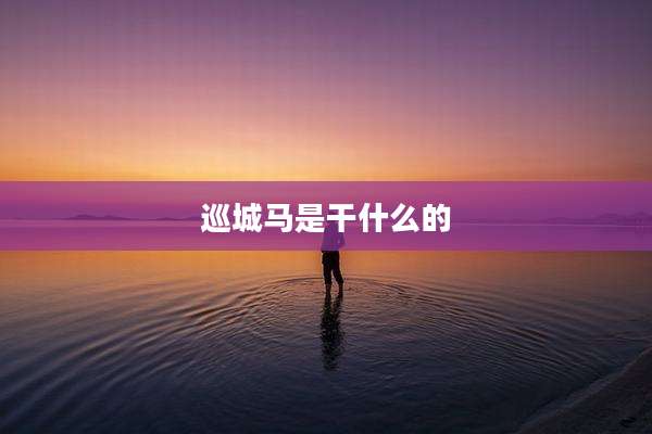 巡城马是干什么的