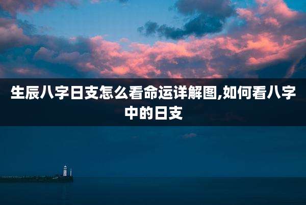 生辰八字日支怎么看命运详解图,如何看八字中的日支