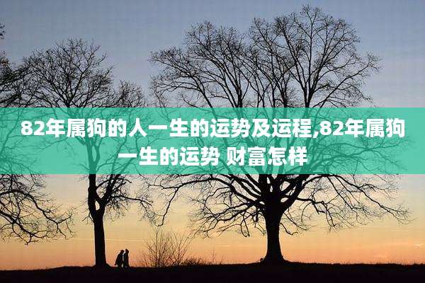 82年属狗的人一生的运势及运程,82年属狗一生的运势 财富怎样