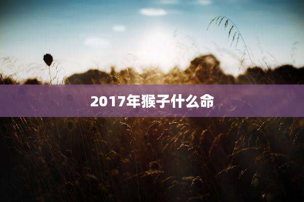 2017年猴子什么命