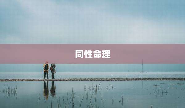 同性命理
