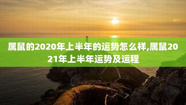 属鼠的2020年上半年的运势怎么样,属鼠2021年上半年运势及运程