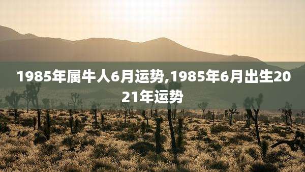 1985年属牛人6月运势,1985年6月出生2021年运势